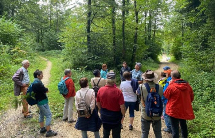 Diabetes, eine stetig zunehmende Krankheit, auch im Jura