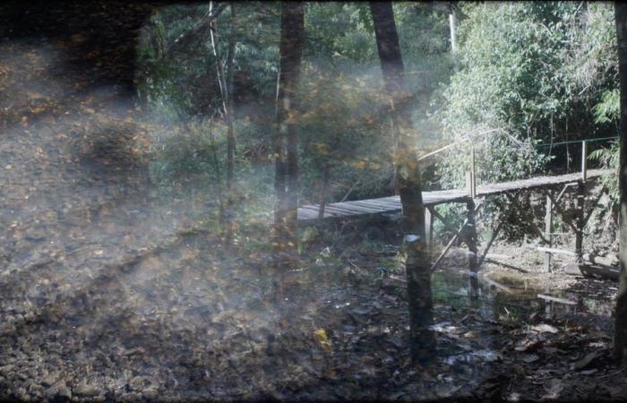 „Partikel der Nacht“: in Beaubourg, die Träume, die sich bewegen von Apichatpong Weerasethakul