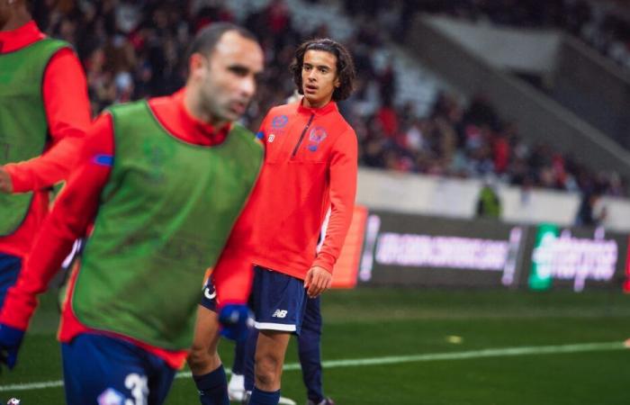 Das Programm für den 14. Oktober 2024 für LOSC-Nationalspieler