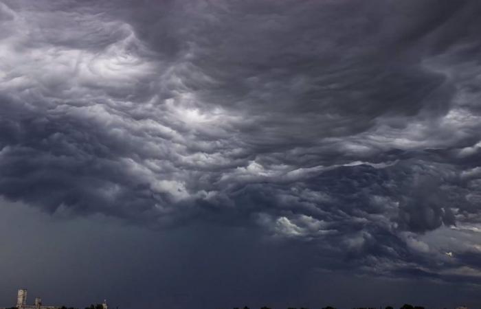 Die Winterperiode geht weiter, in 8 Regionen wird es an diesem Montag, 14. Oktober 2024, Regen geben