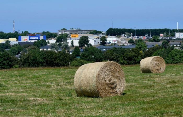 Die Preise für landwirtschaftliche Flächen sind im Ärmelkanal gesunken