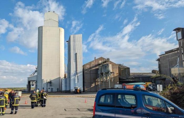 Rund dreißig Feuerwehrleute waren bei einem Getreidetrocknerbrand nördlich von Loiret im Einsatz