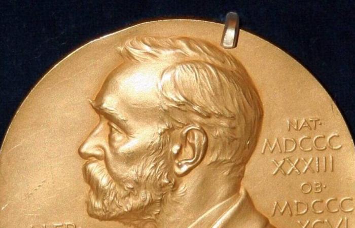 Der Nobelpreis für Wirtschaftswissenschaften wird an drei Amerikaner für ihre Arbeit zu Institutionen verliehen