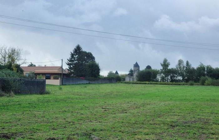 Diese Loire-Atlantique-Gemeinde stellt 14 Hektar unter Schutz, die Eigentümer haben es blockiert