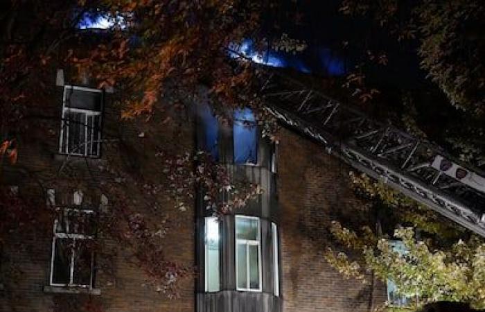 Brand in einem Wohnhaus: Rund zwanzig Menschen sind auf der Straße in Le Plateau-Mont-Royal „gefährdet“.