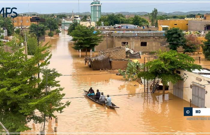 SENEGAL-WINTER-SINISTRE / Bakel: Jean-Baptiste Tine kündigt die Lieferung von Lebensmitteln an – senegalesische Presseagentur