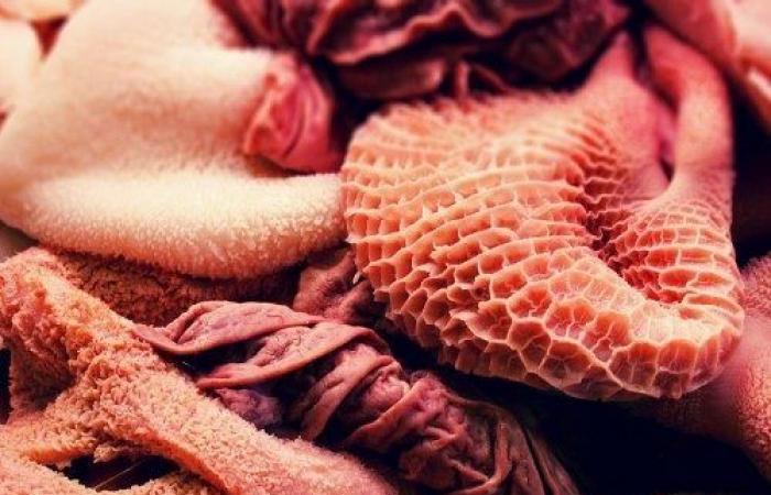 Innereien sind nicht immun gegen den Anstieg der Preise für rotes Fleisch in Marokko