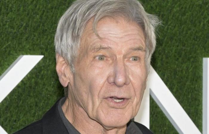 Aus diesem Grund weigert sich Harrison Ford, 82, in den Ruhestand zu gehen