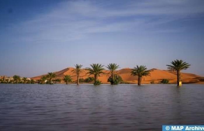 CNEWS staunt über „unglaubliche Bilder marokkanischer Sahara-Dünen“, die nach heftigen Regenfällen im September mit Bäumen und Seen übersät sind