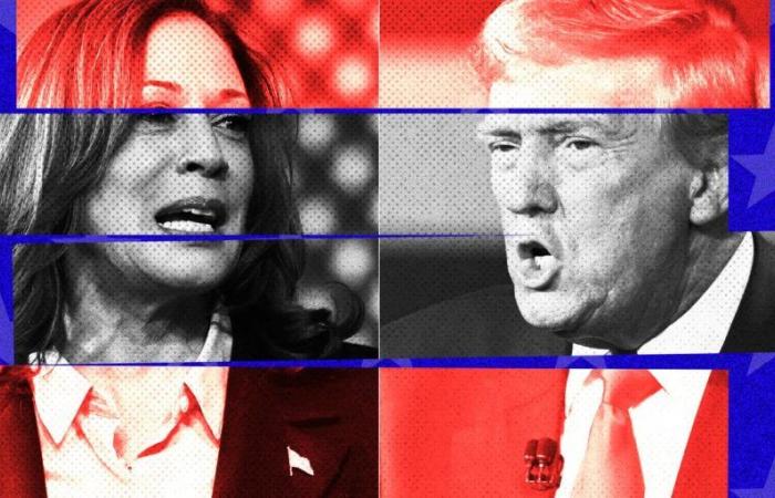 22 Tage vor der Wahl die neuesten Informationen zu Kamala Harris und Donald Trump und die Antworten auf Ihre Fragen