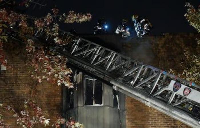 Brand in einem Wohnhaus: Rund zwanzig Menschen sind auf der Straße in Le Plateau-Mont-Royal „gefährdet“.