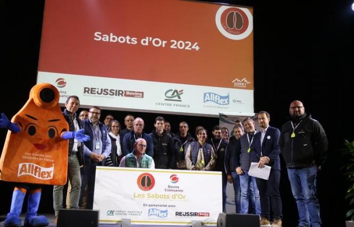 Fleischrinder: Wer sind die Gewinner der Golden Sabots 2024?