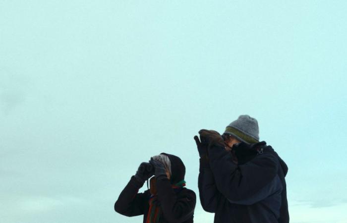 Die letzten Beobachter: Wetterbeobachter, ein Leben ohne Maß