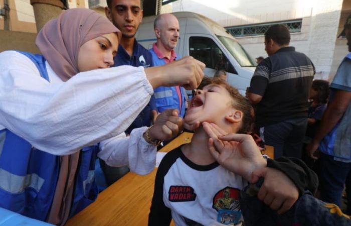 Gesundheit. Zweite Anti-Polio-Impfkampagne für Kinder in Gaza gestartet