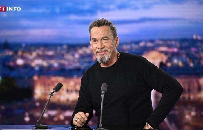 Florent Pagny singt, um Paul Watson, den in Grönland inhaftierten Walschützer, zu befreien