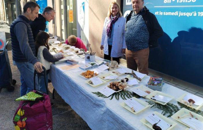 Figeac. Mehrere Treffen rund um Pilze