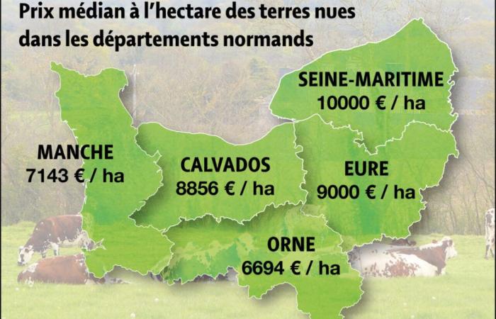 Die Preise für landwirtschaftliche Flächen sind im Ärmelkanal gesunken