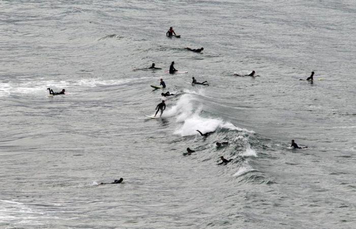 Sättigung der Surfspots oder wie man die Essenz dieses mit der Natur verbundenen Sports bewahrt