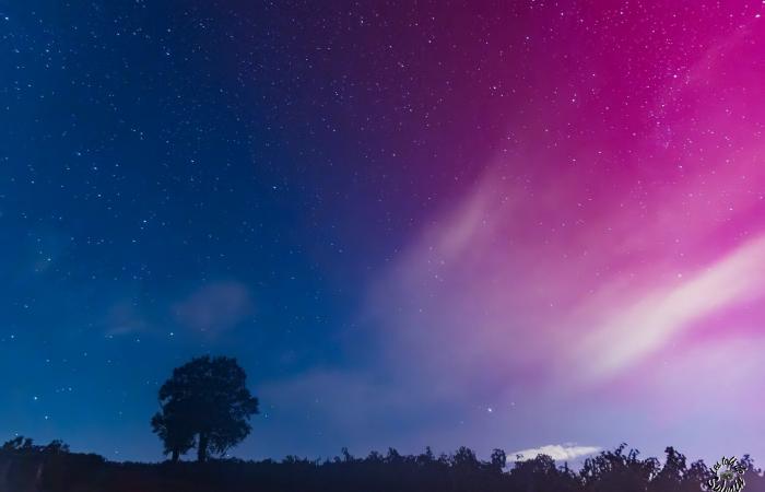 Fotos: Herrliche Nordlichter erleuchteten den Himmel über der Gironde