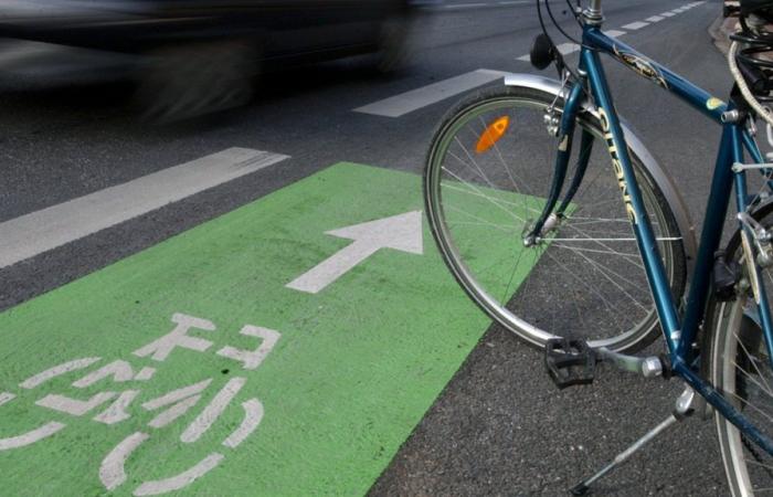 Ein Radfahrer wurde nach einem Streit mit einem Autofahrer getötet, eine Mordermittlung wird eingeleitet