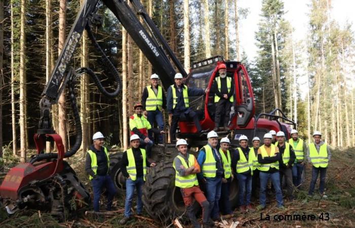 Der Holz-Forstwirtschaftsplan der Region wird mit Forstunternehmen umgesetzt