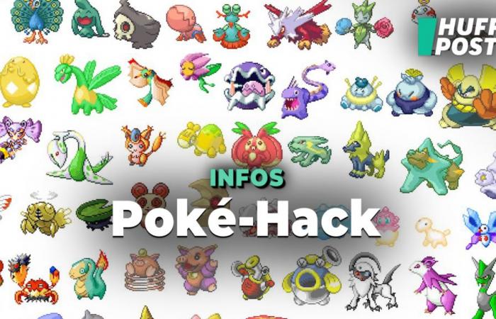 Neue Pokémon-Spiele und Switch 2-Designs nach Hack enthüllt