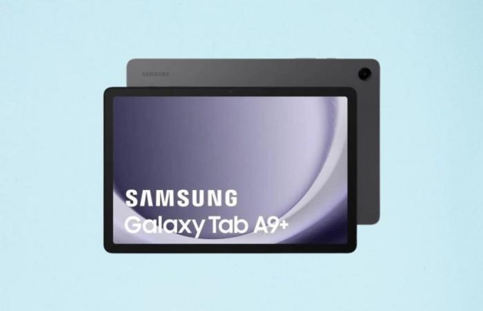 Der Preis dieses Samsung-Touchscreen-Tablets ist auf dieser Website ein großer Schlag