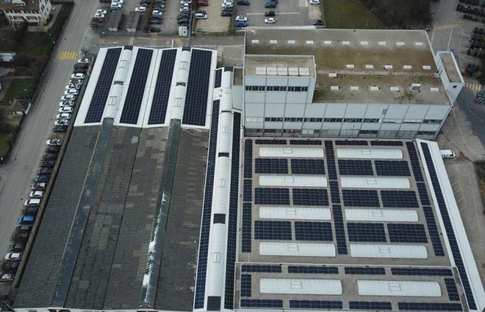 Inbetriebnahme eines Solarparks bei Nexans