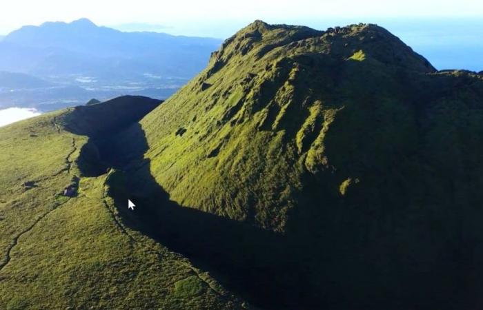 Wurzeln und Flügel in Guadeloupe und Martinique an diesem Mittwochabend auf France 3.