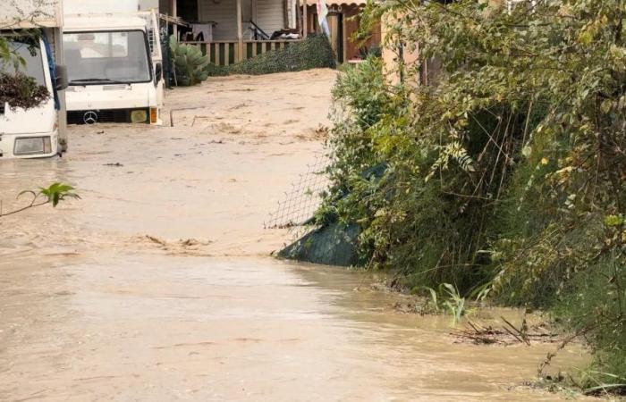 VIDEO – Plötzlicher Anstieg des Wasserspiegels in der Region Vence, Straßen überflutet und ein Nomadenlager evakuiert