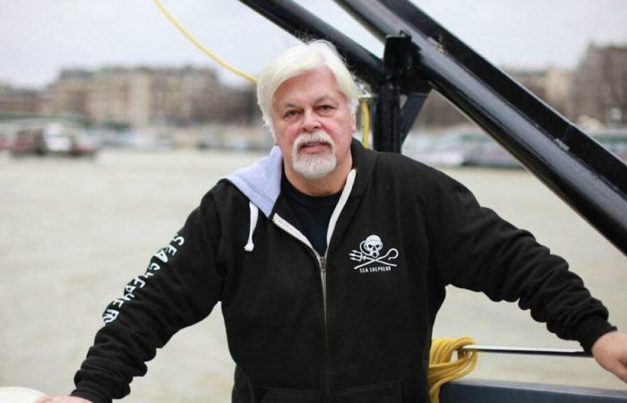 Der Umweltschützer Paul Watson beantragte politisches Asyl in Frankreich