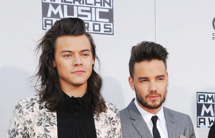 Die Freundschaft von Harry Styles und Liam Payne im Laufe der Jahre: Zeitleiste