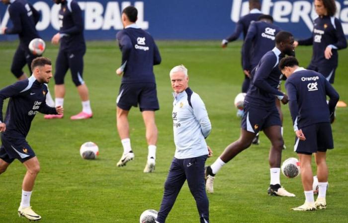 Die Blues-Familie wächst! Ein Starspieler der französischen Mannschaft und frischgebackener Vater, erstes Foto von 5