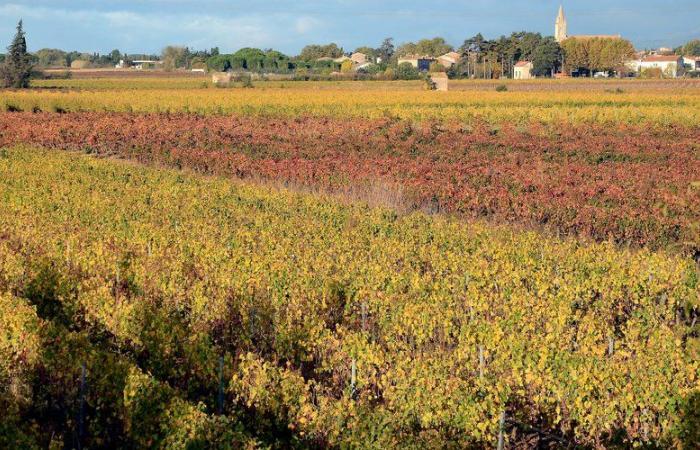 Wie das Wanderangebot die Aude zu einem außergewöhnlichen Reiseziel in Frankreich gemacht hat