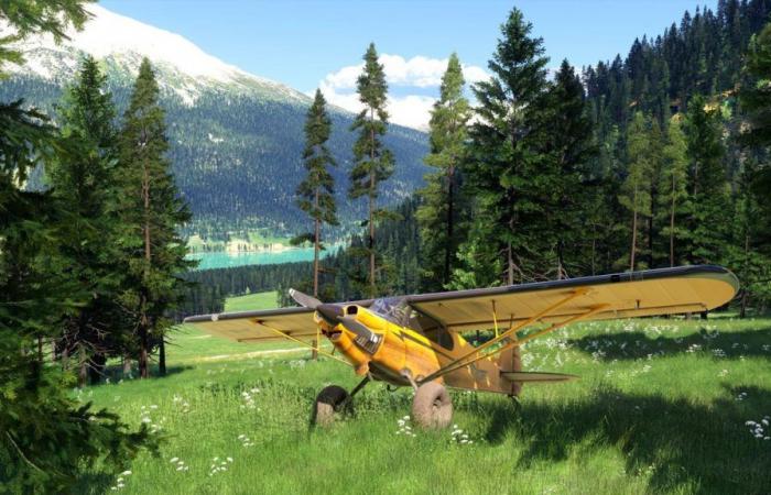 Flight Simulator 2024 wird eine Menge Bandbreite verbrauchen