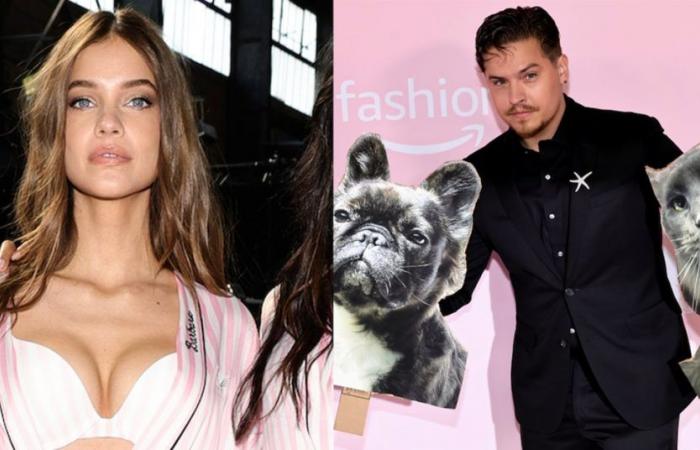 Barbara Palvins Ehemann Dylan Sprouse bringt Ausschnitte ihrer Haustiere zur Victoria’s Secret-Show mit