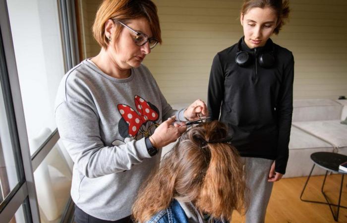 In Charente-Maritime mit Pestiziden imprägnierte Kinder: „Das ist nicht normal, es ist eine Häufung“