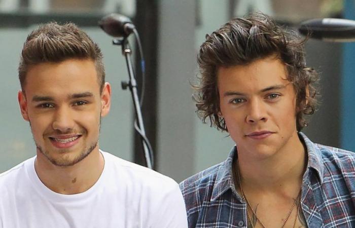 Die Freundschaft von Harry Styles und Liam Payne im Laufe der Jahre: Zeitleiste