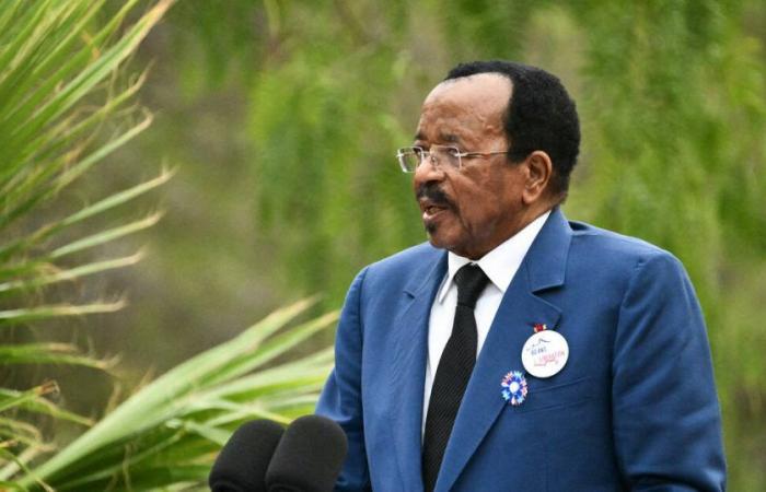 aber wohin ist Präsident Paul Biya gegangen? – Befreiung