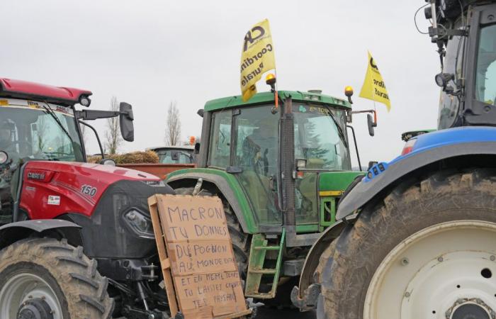 ein dringender Appell an die Behörden