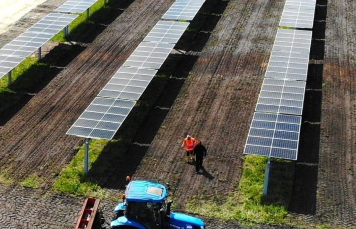 Valorem weiht in den Landes einen Demonstrator ein, um Pflanzen unter Sonnenkollektoren zu testen