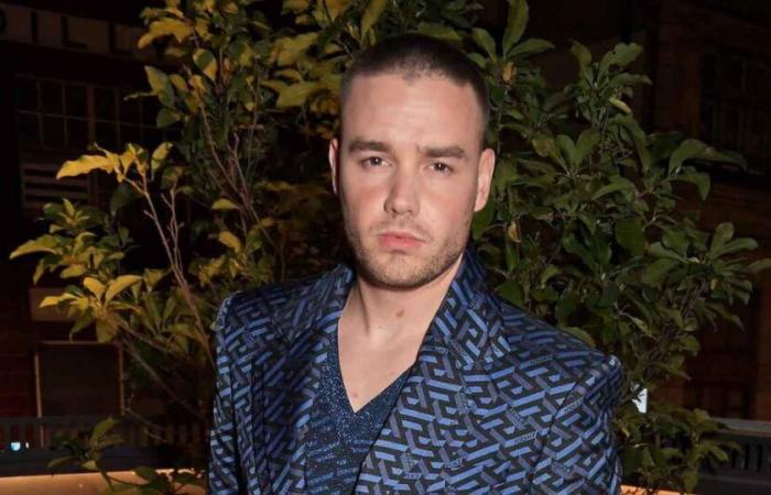 Liam Paynes Kampf mit Drogen und Alkohol: Was er sagte