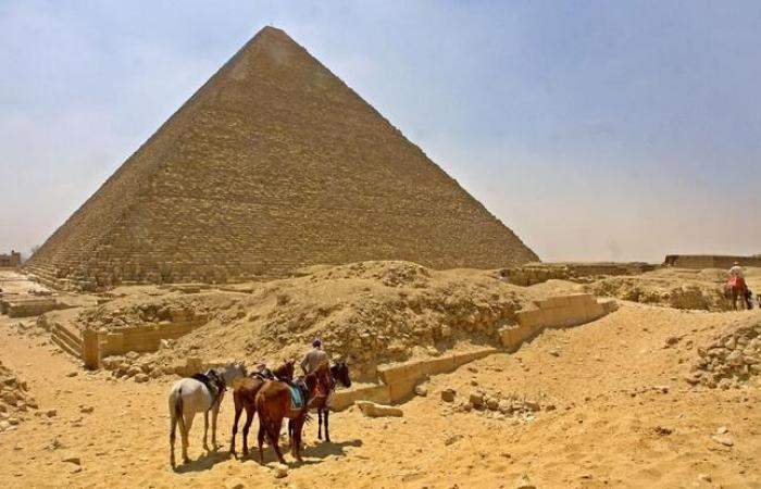 Dieser Hund sonnt sich oben auf der Cheops-Pyramide, das Video geht viral