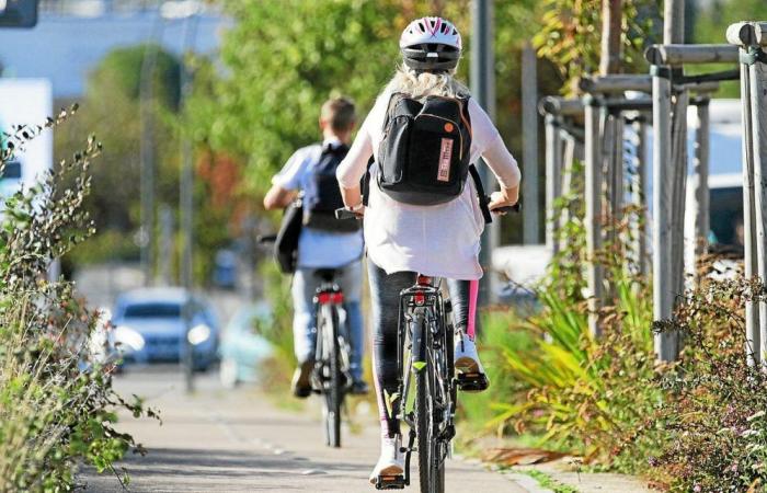 Radfahrer müssen „als vollberechtigte Nutzer anerkannt werden“