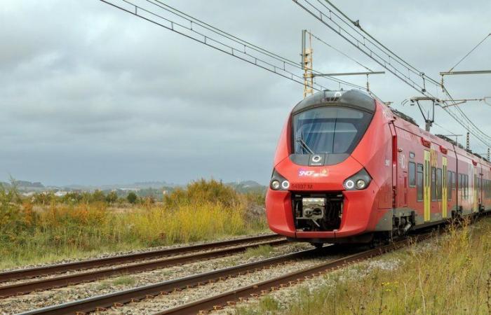 Der Schienenverkehr in Okzitanien ist betroffen, die SNCF-Strecken sind lahmgelegt… für diesen Donnerstag sind Störungen zu erwarten