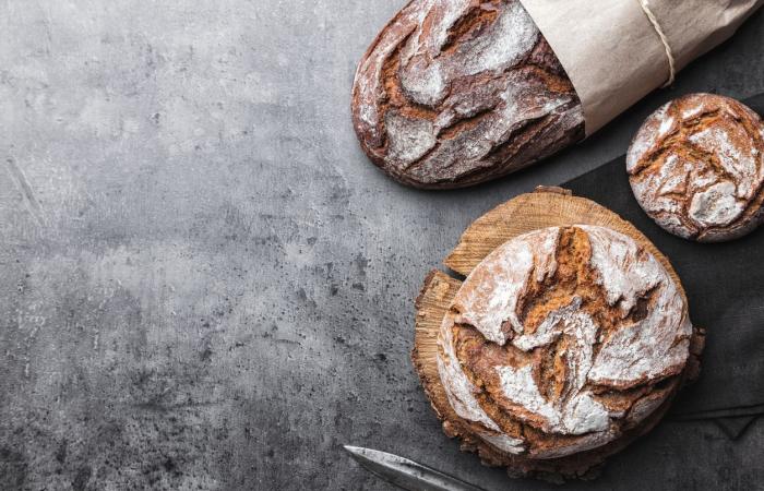 Vollkornbrot ist tatsächlich schlechter als Weißbrot