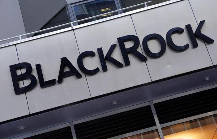 BlackRock wird vorgeworfen, mit einigen seiner „nachhaltigen“ Investitionen „Investoren getäuscht“ zu haben.