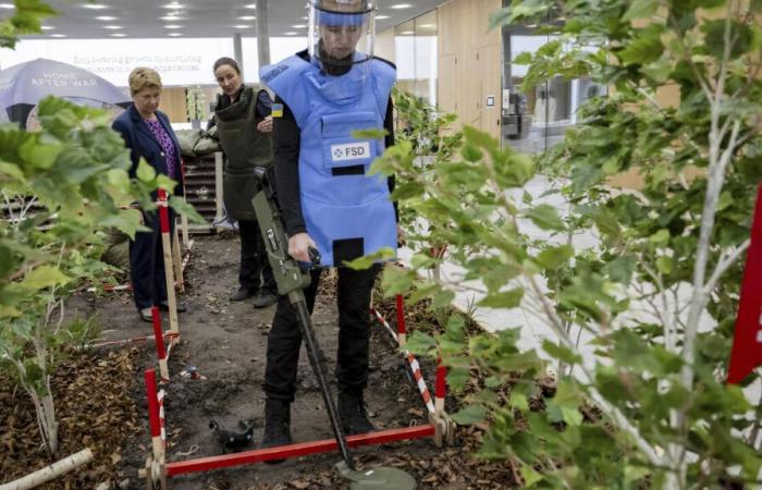 Minenräumung in der Ukraine: „Die Aufgabe ist viel größer als die verfügbaren Ressourcen“