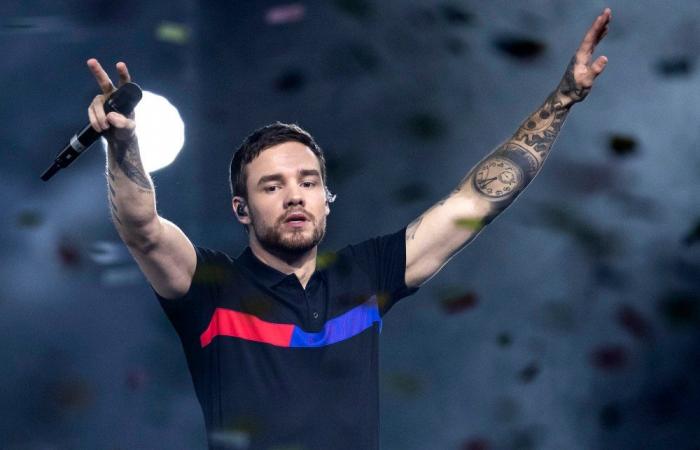 Liam Paynes Kampf mit Drogen und Alkohol: Was er sagte