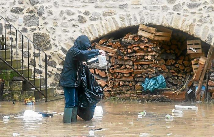 Kühe und Autos weggeschwemmt, Brücken zerstört, Supermärkte unter Wasser: Bilder der Überschwemmungen im Südosten Frankreichs